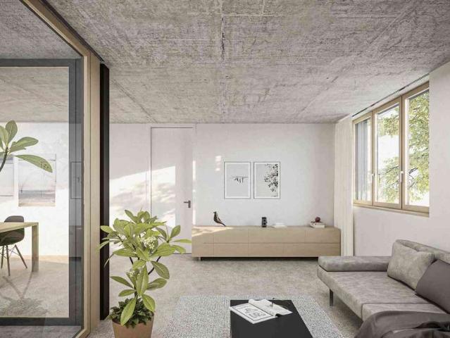 Apartment mieten in Diepoldsau, Wahlkreis Rheintal
