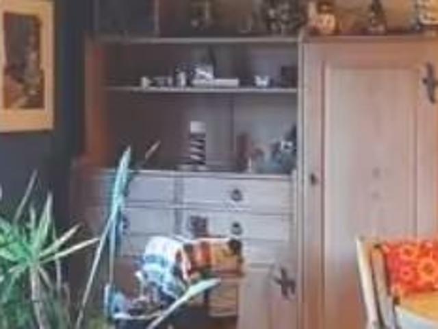 Apartment mieten in Bern