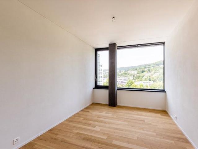 Apartment mieten in Baden, Aargau