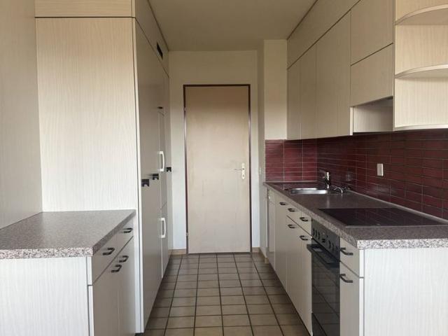 Apartment mieten in Berikon, Aargau
