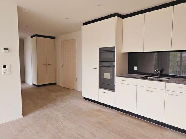 Apartment mieten in Winterthur, Zürich