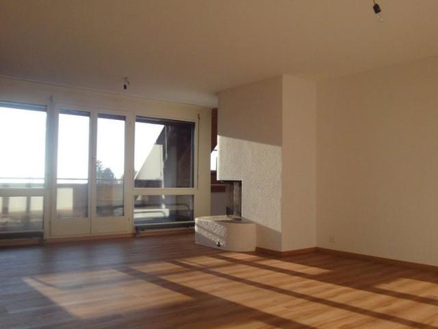 Apartment mieten in Einigen, Zürich