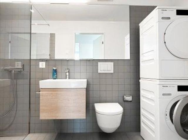 Apartment mieten in Wangen bei Olten, Amtei Olten-Gösgen