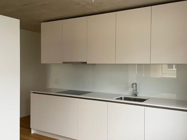 Apartment mieten in Höri, Zürich
