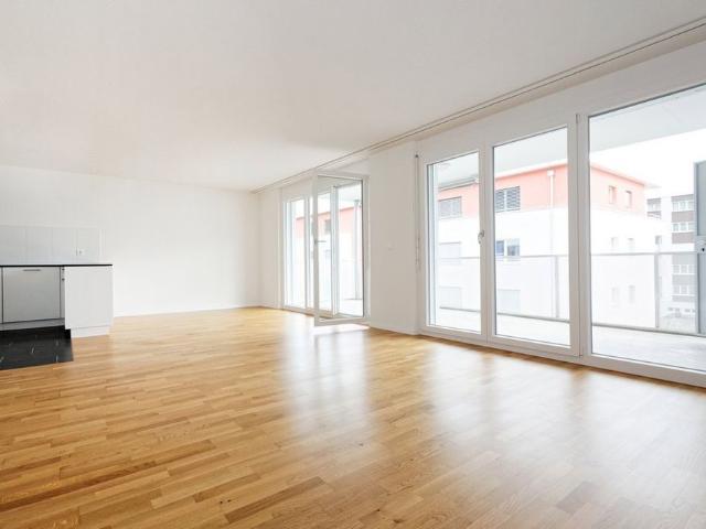 Apartment mieten in Egerkingen, Solothurn
