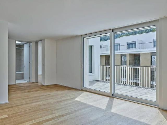 Apartment mieten in Einigen, Zürich