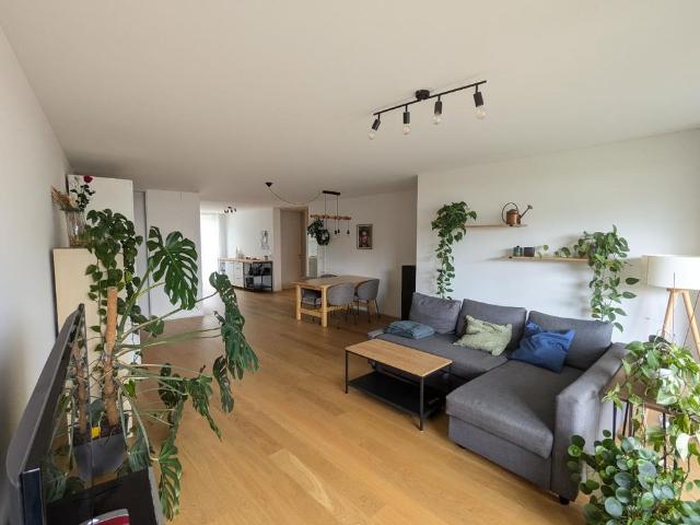 Apartment mieten in Einigen, Zürich