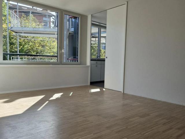 Apartment mieten in Maihof, Luzern
