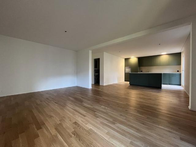 Apartment mieten in Baden, Aargau