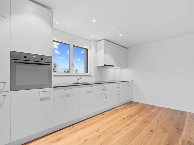 Apartment mieten in Reinach (BL), Basel-Landschaft