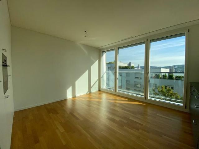 Apartment mieten in Platte, Thalwil