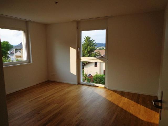 Apartment mieten in Birr, Aargau