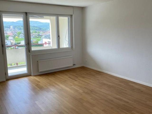 Apartment mieten in Dulliken, Amtei Olten-Gösgen