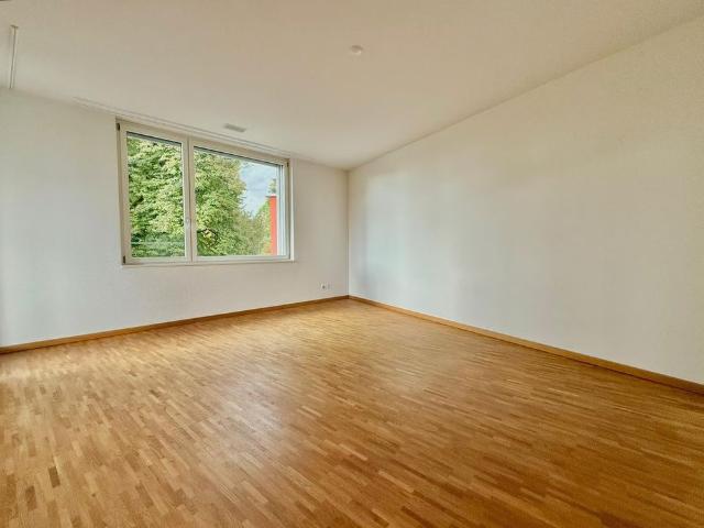 Apartment mieten in Unterwetzikon, Wetzikon (ZH)