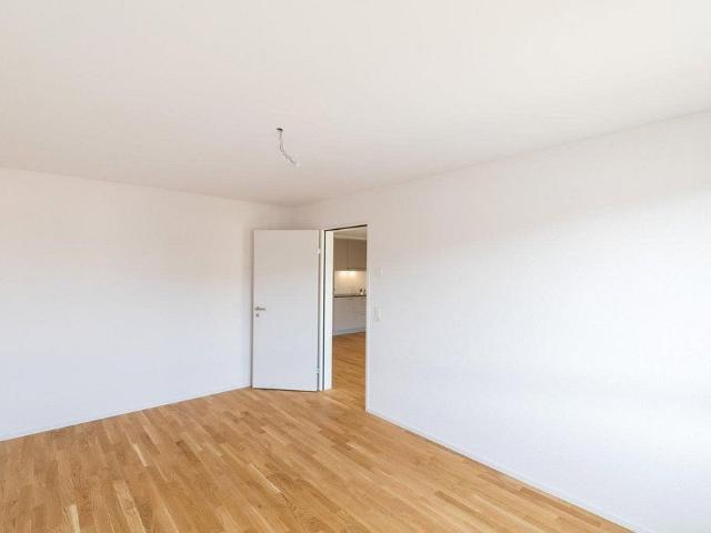 Apartment mieten in Im Leim, Frick