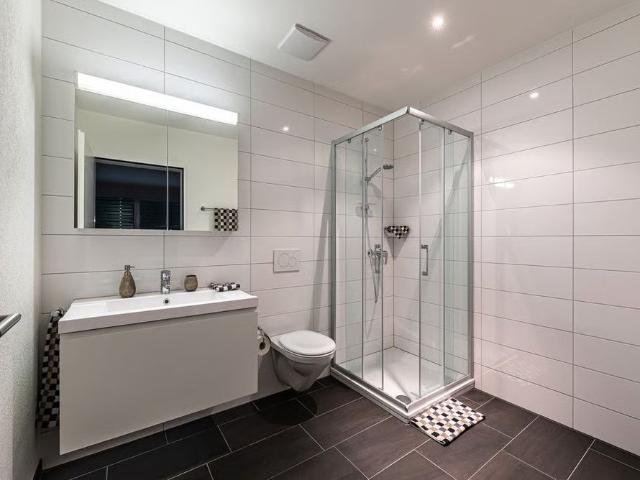 Apartment mieten in Windisch, Aargau
