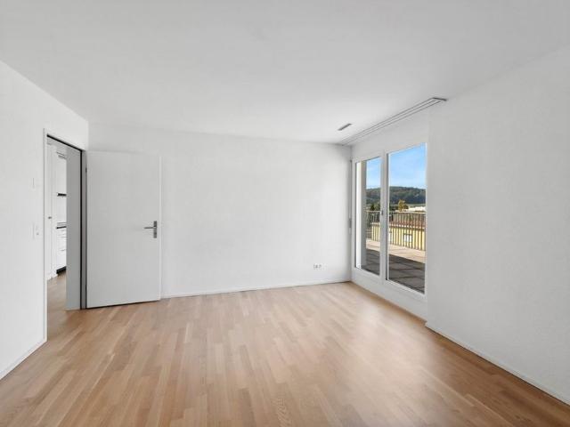 Apartment mieten in Beringen, Schaffhausen