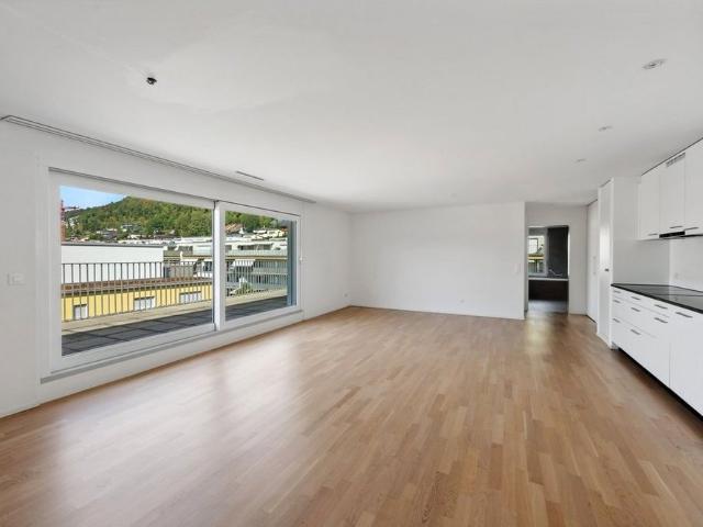Apartment mieten in Beringen, Schaffhausen