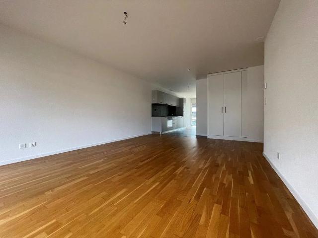 Apartment mieten in Monthey, Wallis