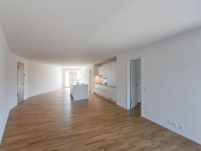 Apartment mieten in Massagno, Tessin