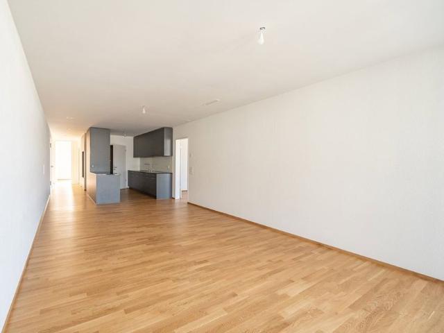 Apartment mieten in Liestal, Basel-Landschaft