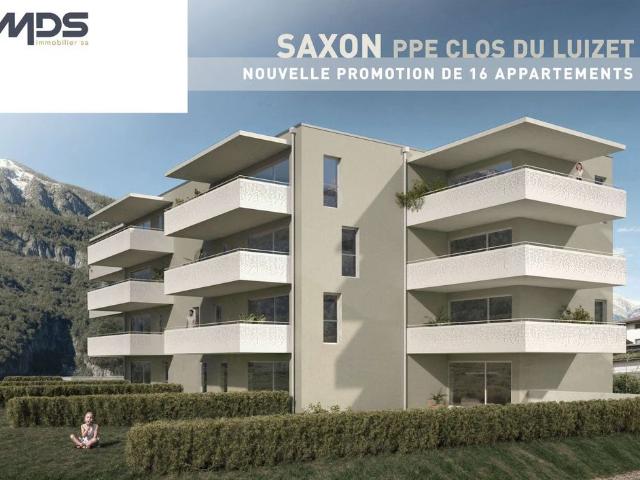 Apartment mieten in Saxon, Wallis