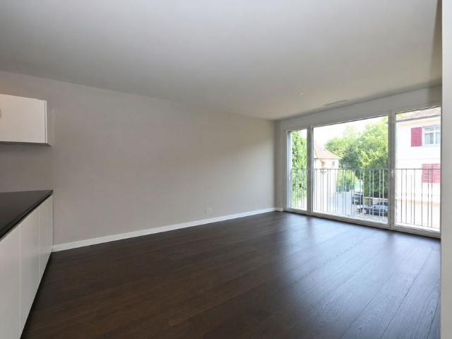 Apartment mieten in Schwamendingen Mitte, Zürich