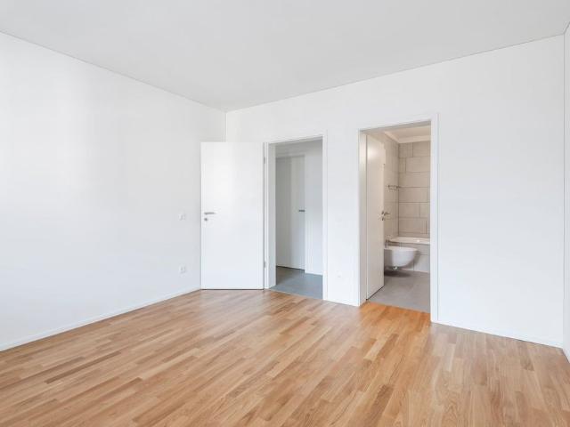 Apartment mieten in Bellinzona, Tessin