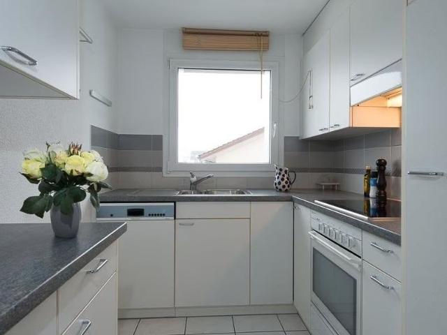Haus mieten in Muri Ag, Aargau