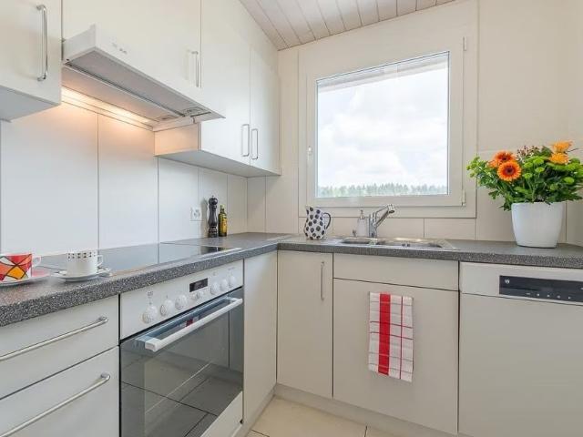 Apartment mieten in Muri Ag, Aargau