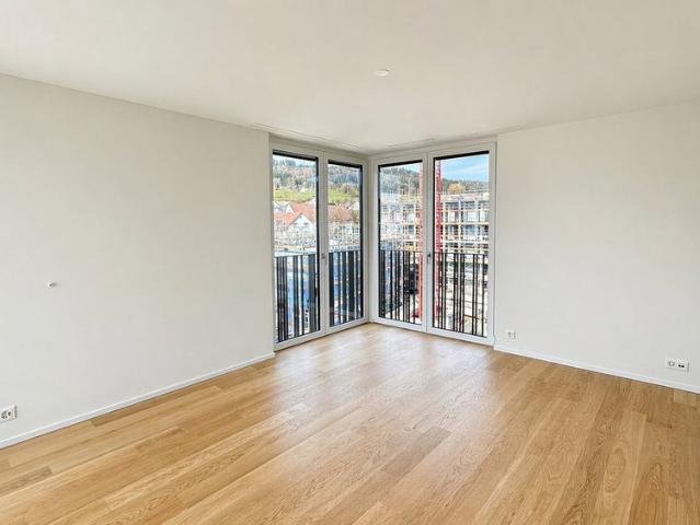 Apartment mieten in Egg, Zürich