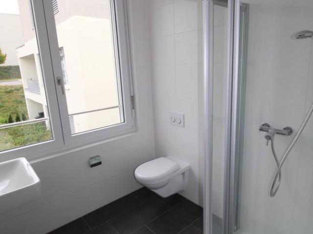 Apartment mieten in Glattfelden, Zürich