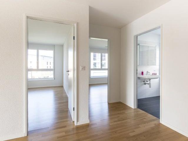 Apartment mieten in Reinach (AG), Aargau