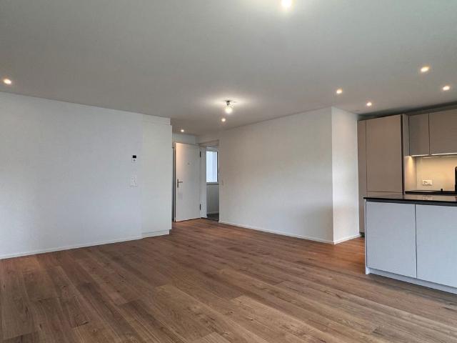 Apartment mieten in Gontenschwil