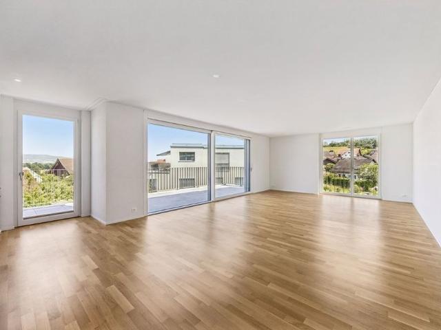 Apartment mieten in Wädenswil, Zürich