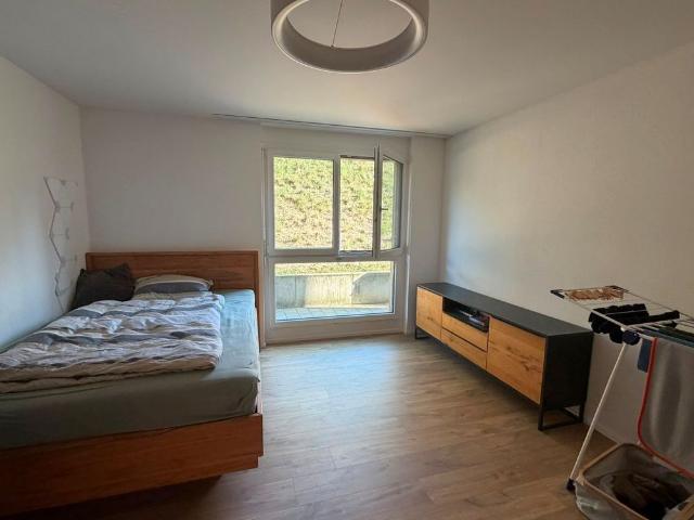 Apartment mieten in Weinfelden, Thurgau