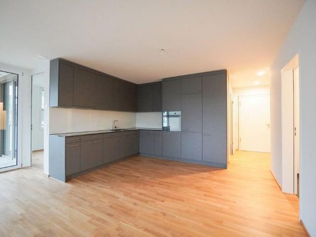 Apartment mieten in Liestal, Basel-Landschaft