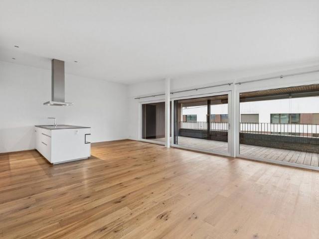 Apartment mieten in Lü