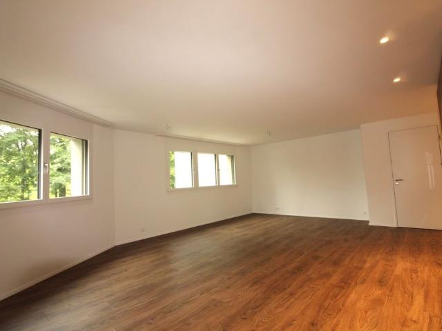 Apartment mieten in Studenbühl, Wollerau