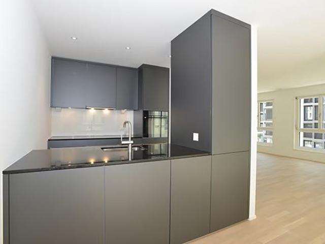 Apartment mieten in Kirchuster, Uster