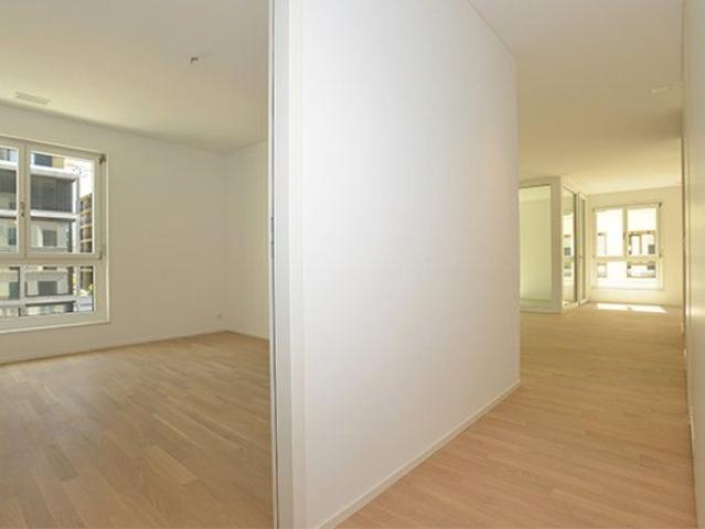 Apartment mieten in Kirchuster, Uster