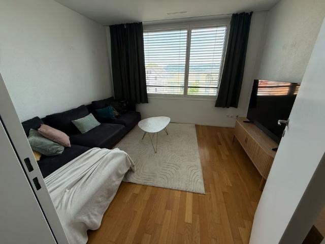 Apartment mieten in Windisch, Aargau