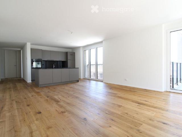 Apartment mieten in Frauenfeld, Thurgau