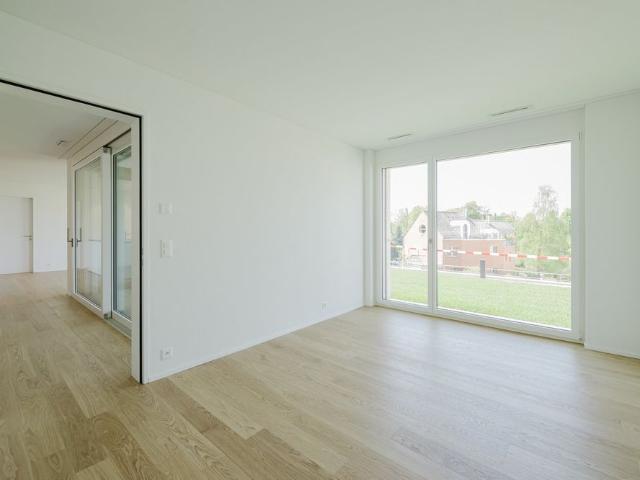 Apartment mieten in Baar, Zug