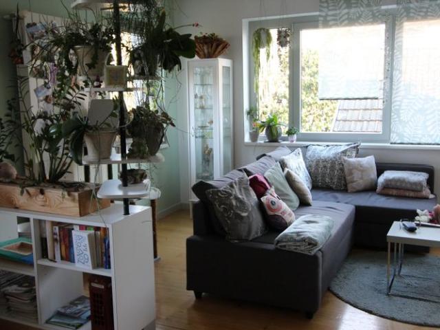 Apartment mieten in Orpund, Bern