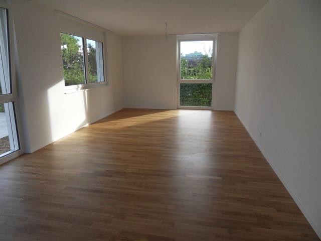 Haus mieten in Allschwil, Basel-Landschaft