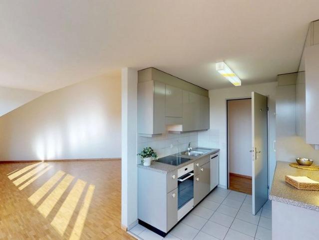 Apartment mieten in Reinach (BL), Basel-Landschaft