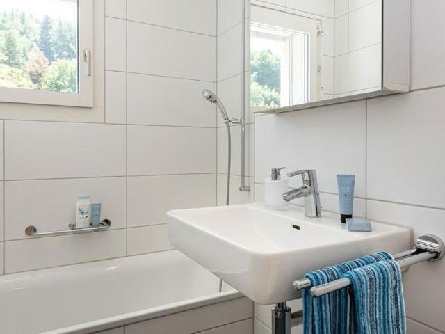 Apartment mieten in Baden, Aargau