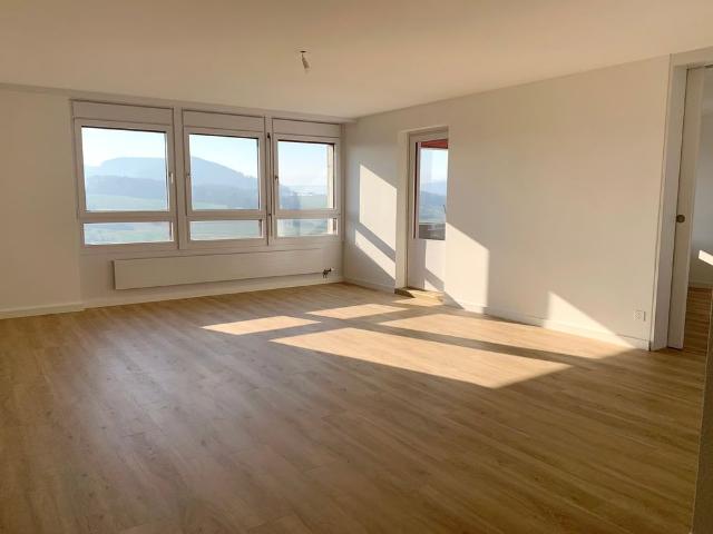 Apartment mieten in Kaiseraugst, Aargau