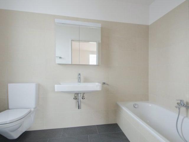 Apartment mieten in Würenlingen, Aargau